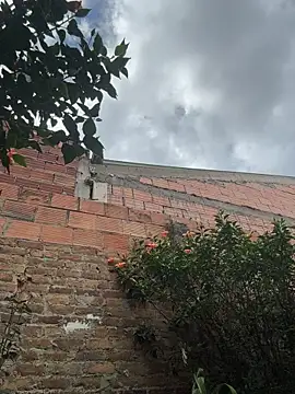 צ'אט XXX בשידור חי של Emily_Gomezz