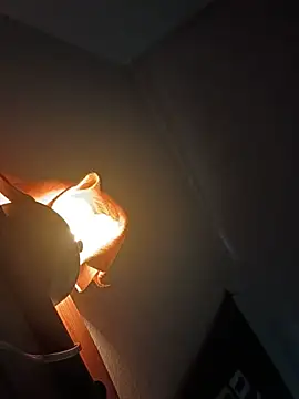 XXX chat uživo modela crazycam619