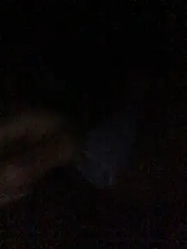 FleckedAlbum Live XXX-Chat