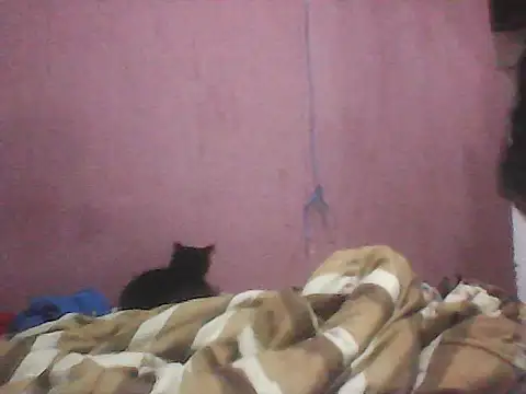 Alwaysluxna - danço na live por 3 min