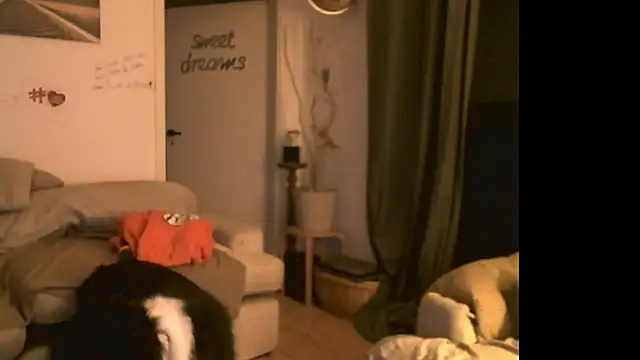 B-A-M-B-I Webcam-Show