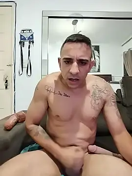 Chat +18 de GATO-SELVAGEM ao vivo