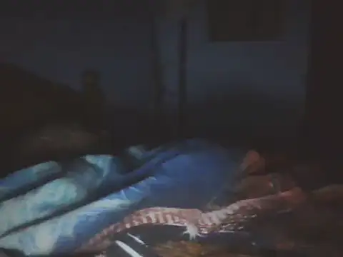 SHARPSkinheadn Live XXX chat
