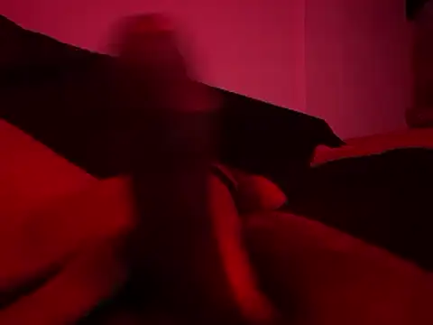 Show webcam de cometemicola