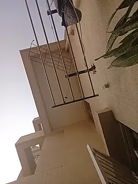 عرض كام dhruvplayboy
