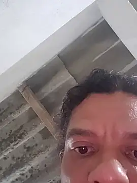 PAROQUI Webcam-Show