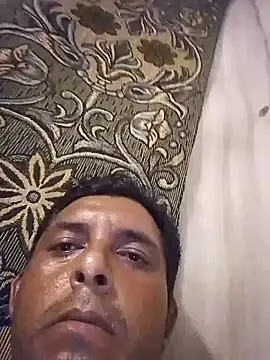 125Delfin90 Pertunjukan Webcam