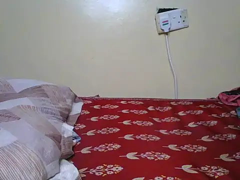 Nubian_booby