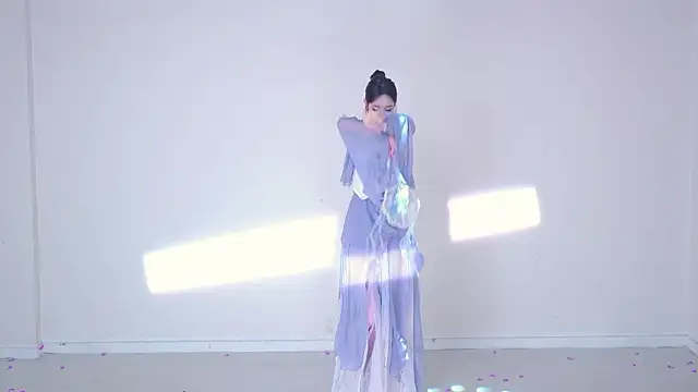 IVE-111n Webbikameraesitys