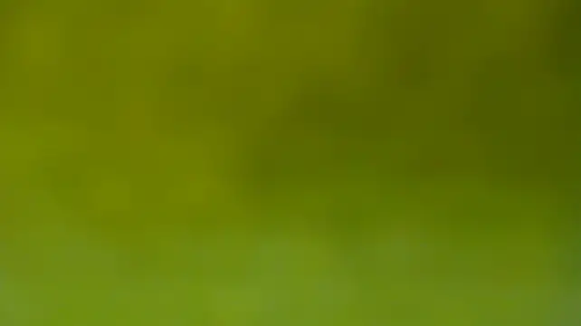 Chat +18 de miranda_sun_ ao vivo