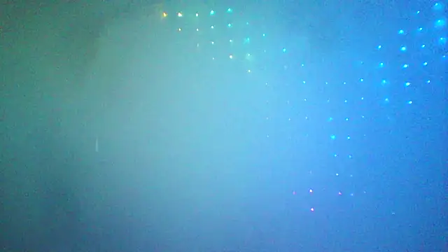 LINYguy XXX чат на живо