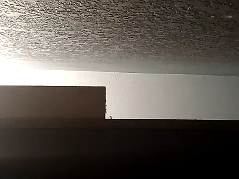 conkaykevinn Webbikameraesitys