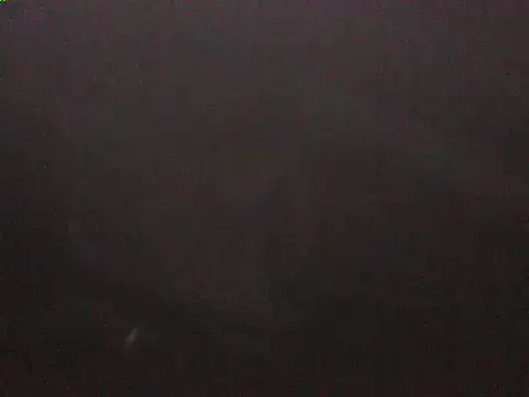 svvs27 Chat XXX live