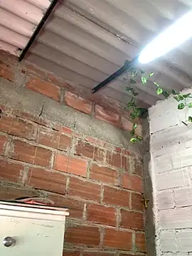 LUCIANA_FOX_TS: вебкам-шоу
