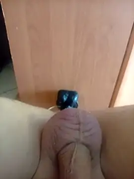 AdasMaly Webcam-Show