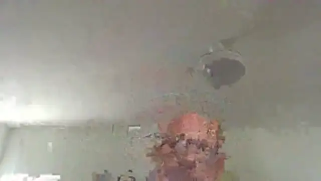 llopaco's Webcam Show