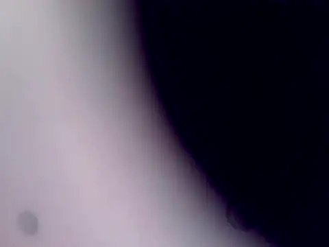 XXX chat uživo modela ArcticRubber1989