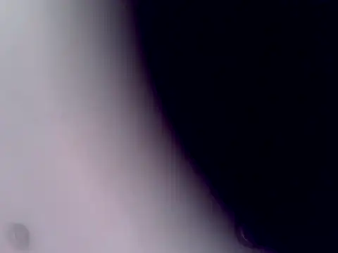 ArcticRubber1989 live XXX chat