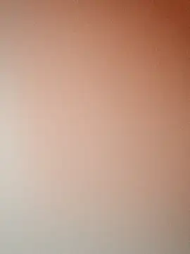 xiaoqingren 网络视讯表演