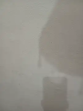 Tanha18 라이브 XXX 채팅