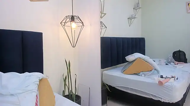 Mayaevansmg