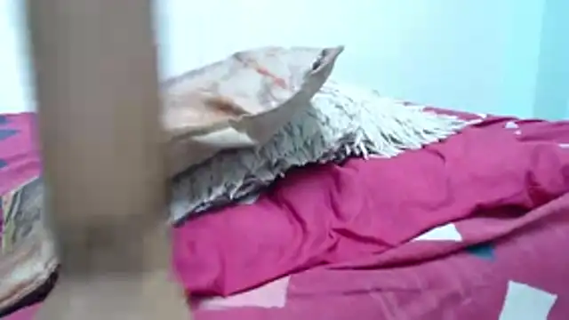 sofiasims 现场XXX聊天