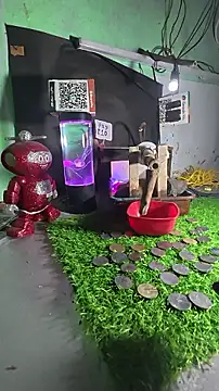 bholaarmn Webbikameraesitys