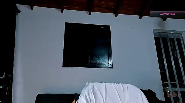 SilvaBranko Live XXX-chat