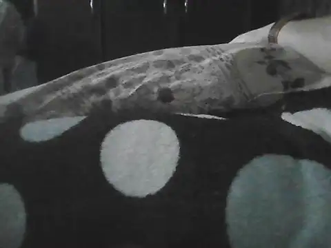 XXX chat uživo modela Cucuredred