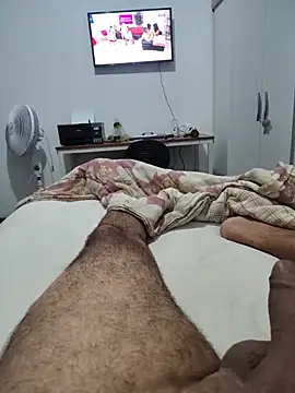 Show de Willdpo na webcam