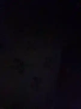 _Danny__ Шоу с уебкамера
