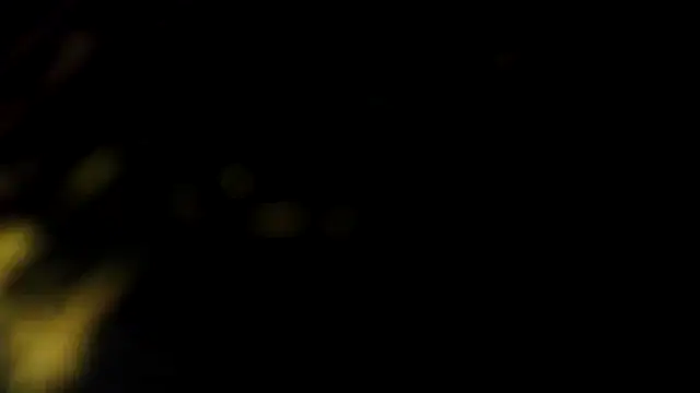 Pokaz2020 现场XXX聊天