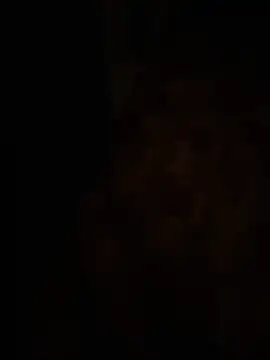 ZaneHoward élő XXX-chatje