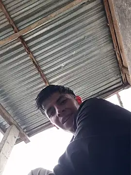 ZaneHoward লাইভ XXX চ্যাট