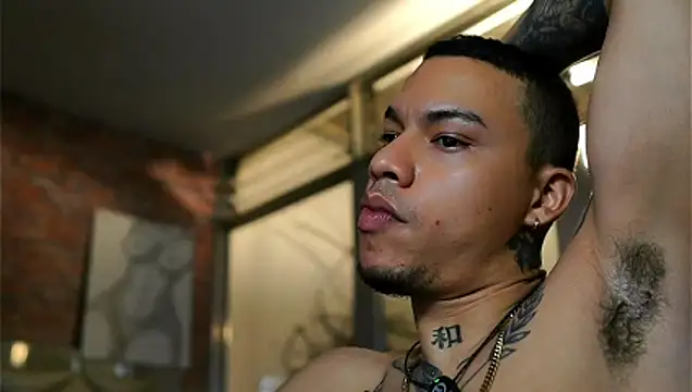 Chat XXX Live AlphaMasterXxx