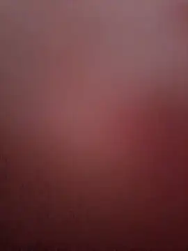 Pertunjukan Kamera Web mariusSingur