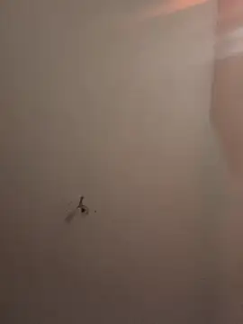 crisfootlicker's Webcam Show