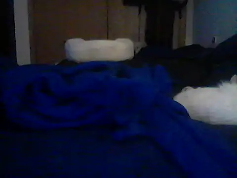 Chatroom XXX en direct de Silencio26
