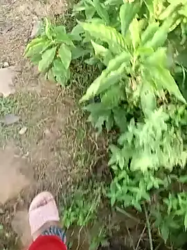 YOURBHABI143 Show in webcam