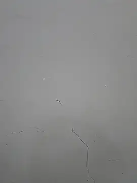 BabuCouple Show in webcam