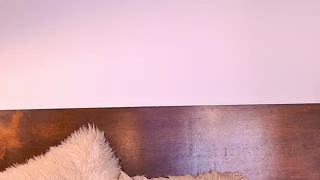 Stellaciel_ - FUCK PUSSY 🎃