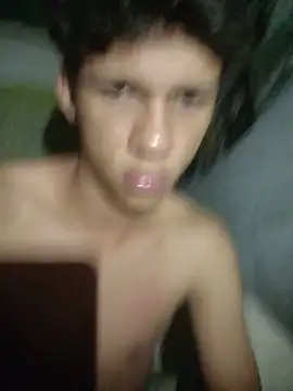 Show de vectorlux na webcam