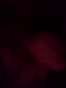 amigonuevo webcam show