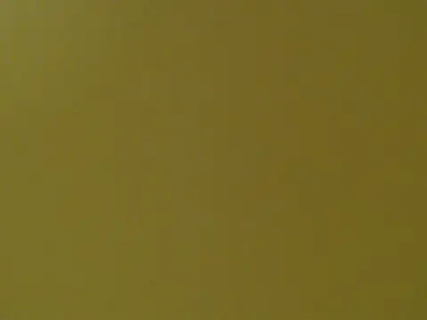 LadyKim101 现场XXX聊天
