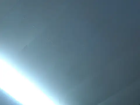 BigFluff33 live XXX chat
