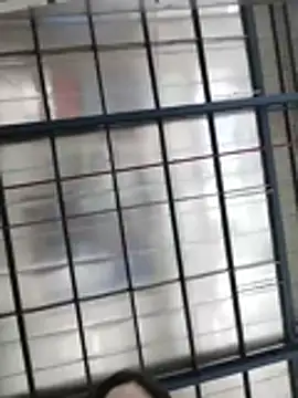 -Pan- Show Webcam