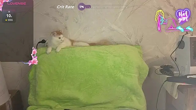 RachelPirceのライブXXXチャット