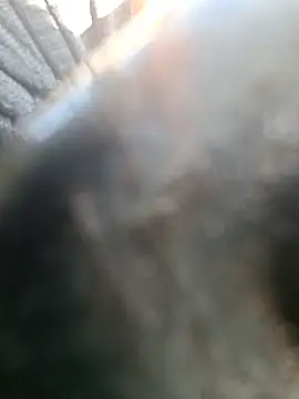 Savonanin Webbikameraesitys