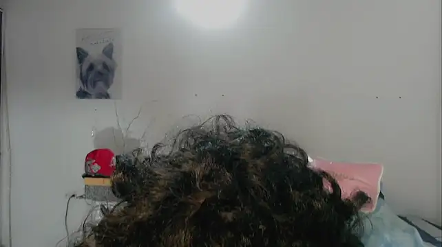 FUNNY_DICK_ Pertunjukan Webcam