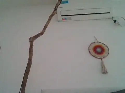 Chat +18 de LatinoSensual45 ao vivo